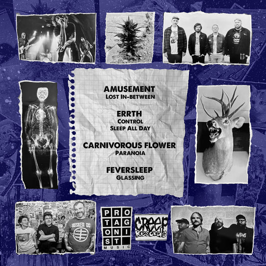 Amusement / ERRTH / Carnivorous Flower / Feversleep 4 way split LP