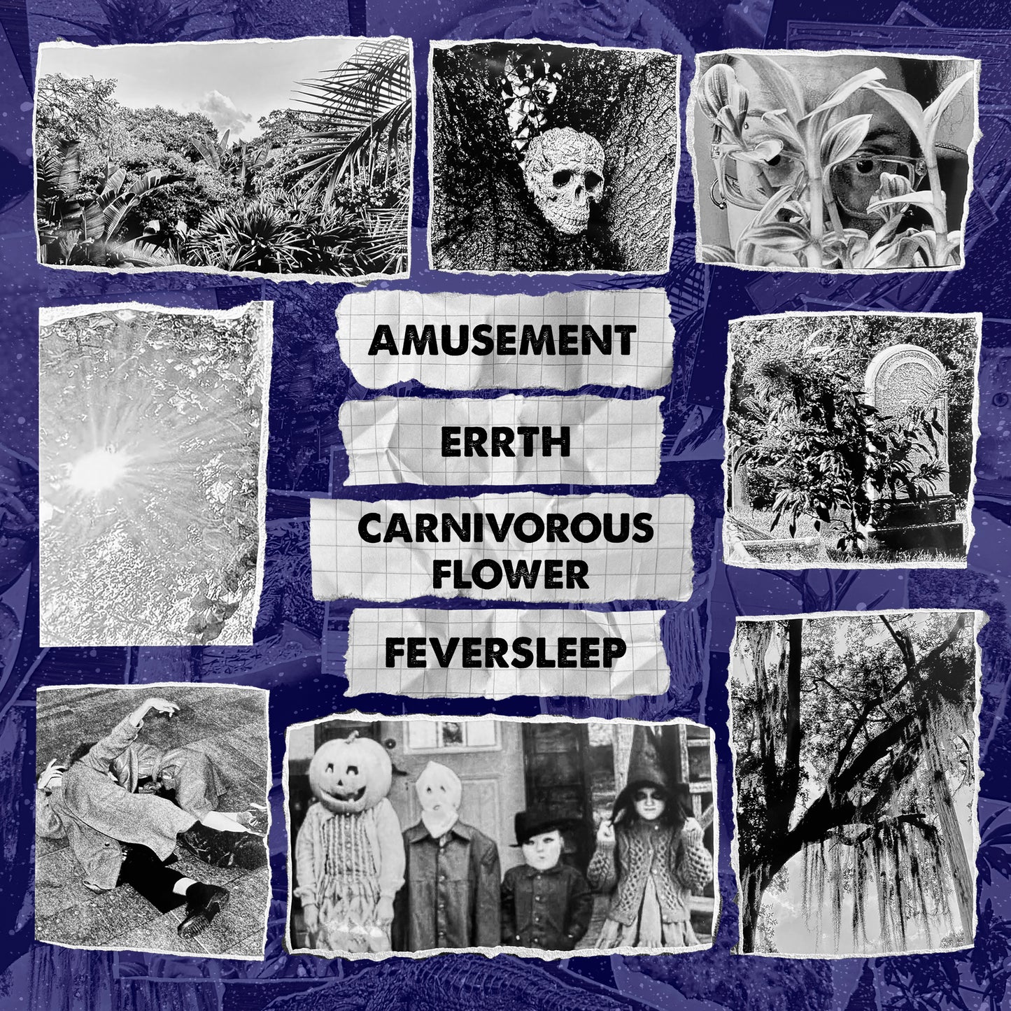 Amusement / ERRTH / Carnivorous Flower / Feversleep 4 way split LP