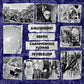 Amusement / ERRTH / Carnivorous Flower / Feversleep - 4-Way Split [LP/Comp, Grape Translucent Vinyl]